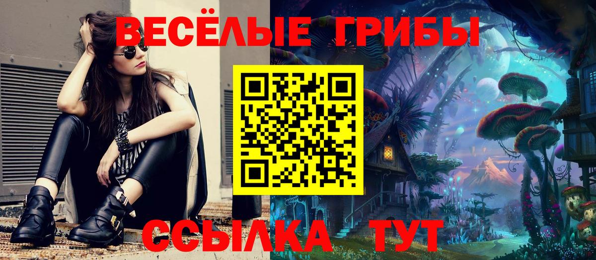 Курчатов  Псилоцибиновые грибы прущие грибы  Галлюциногенные грибы Psilocybe  Вход с VPN 